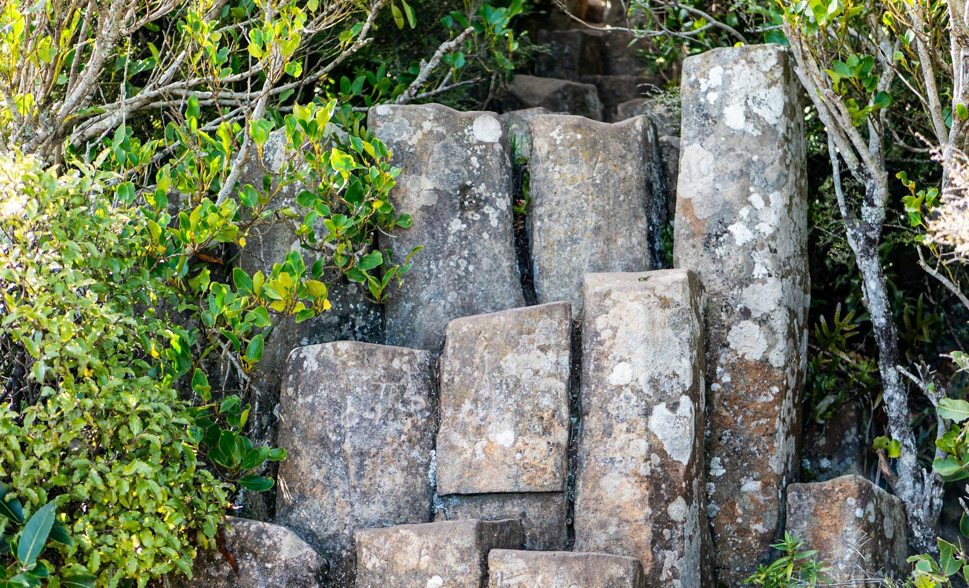a pile of rocks sitting in the middle of a forest
